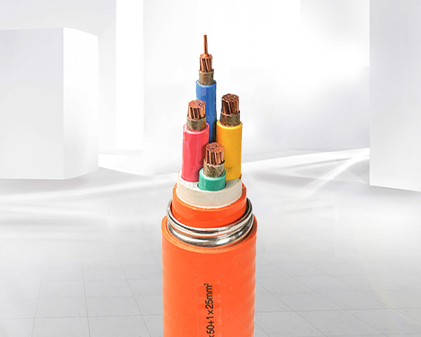 樣品10kV